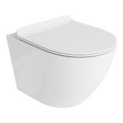 Picture of Delta Rimless Back to Wall Pan & Soft Close Sea 360w x 400h x 560dt